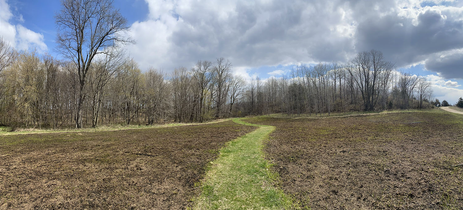 After a prairie burn