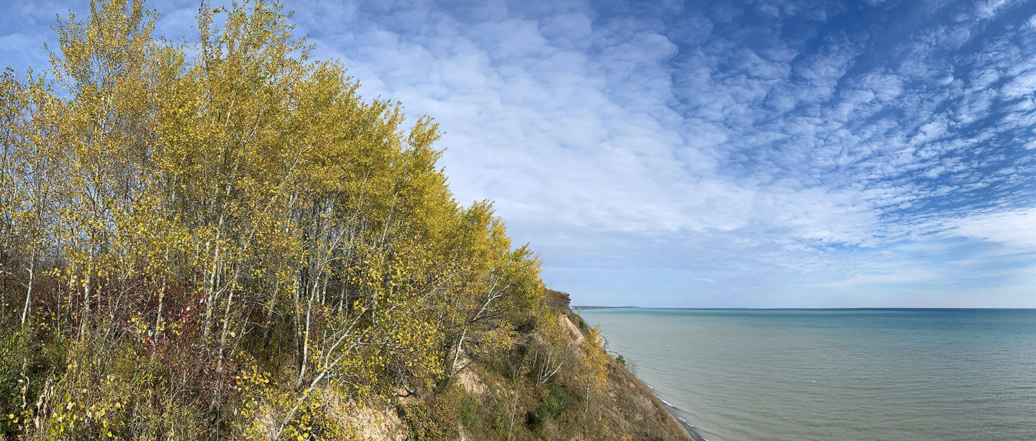 Panoramic view of bluff with aspens in autumn