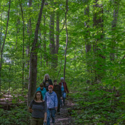 Hikers in deep woods