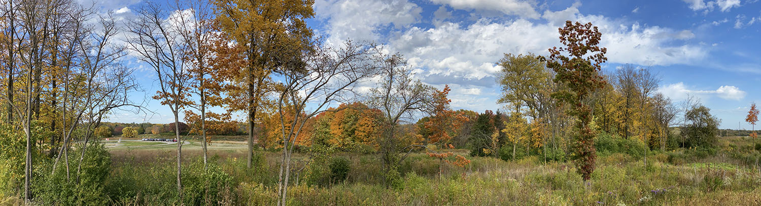 Forest Exploration Center panorama