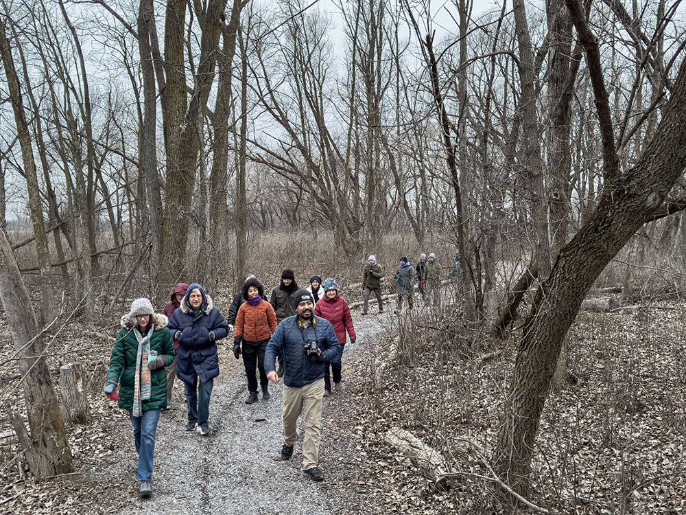 Hikers in a woodland.