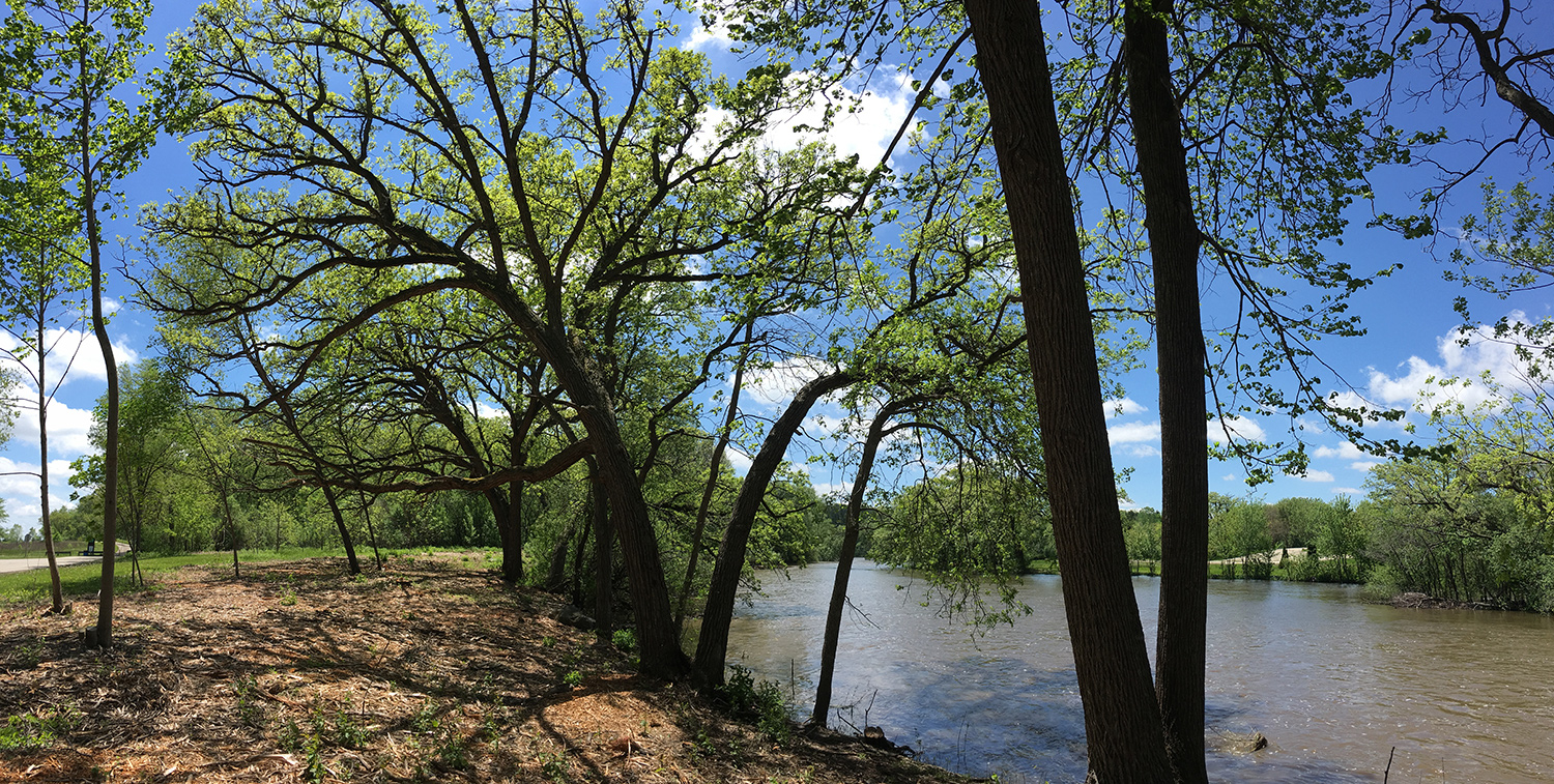 Fox River at Case Eagle Park