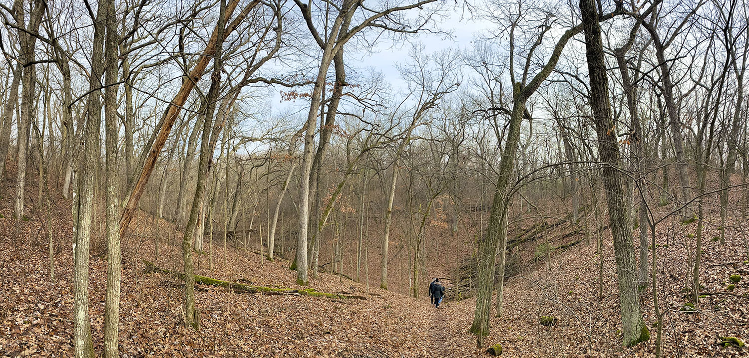 Scuppernong Segment of the Ice Age Trail