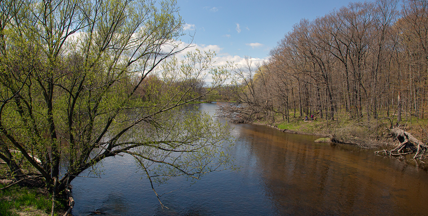 Milwaukee River at Bratt Woods