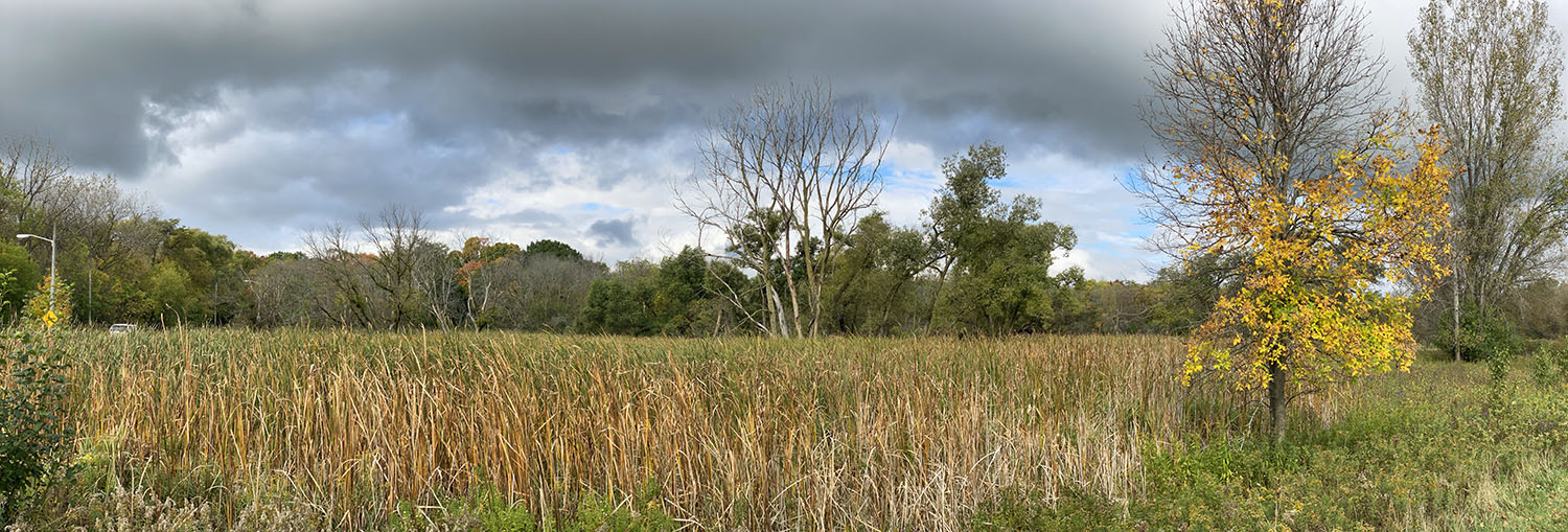 Wetland panorama on Root River Parkway in Greenfield