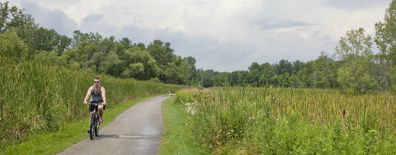 Cyclist on Oak Leaf Trail