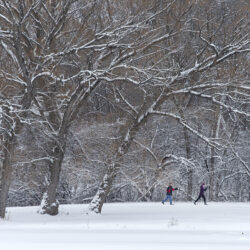 Cross country skiing