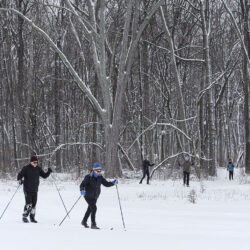 Cross country skiing