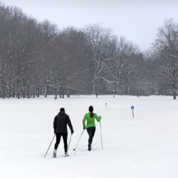 Cross country skiing