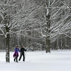 Cross country skiing