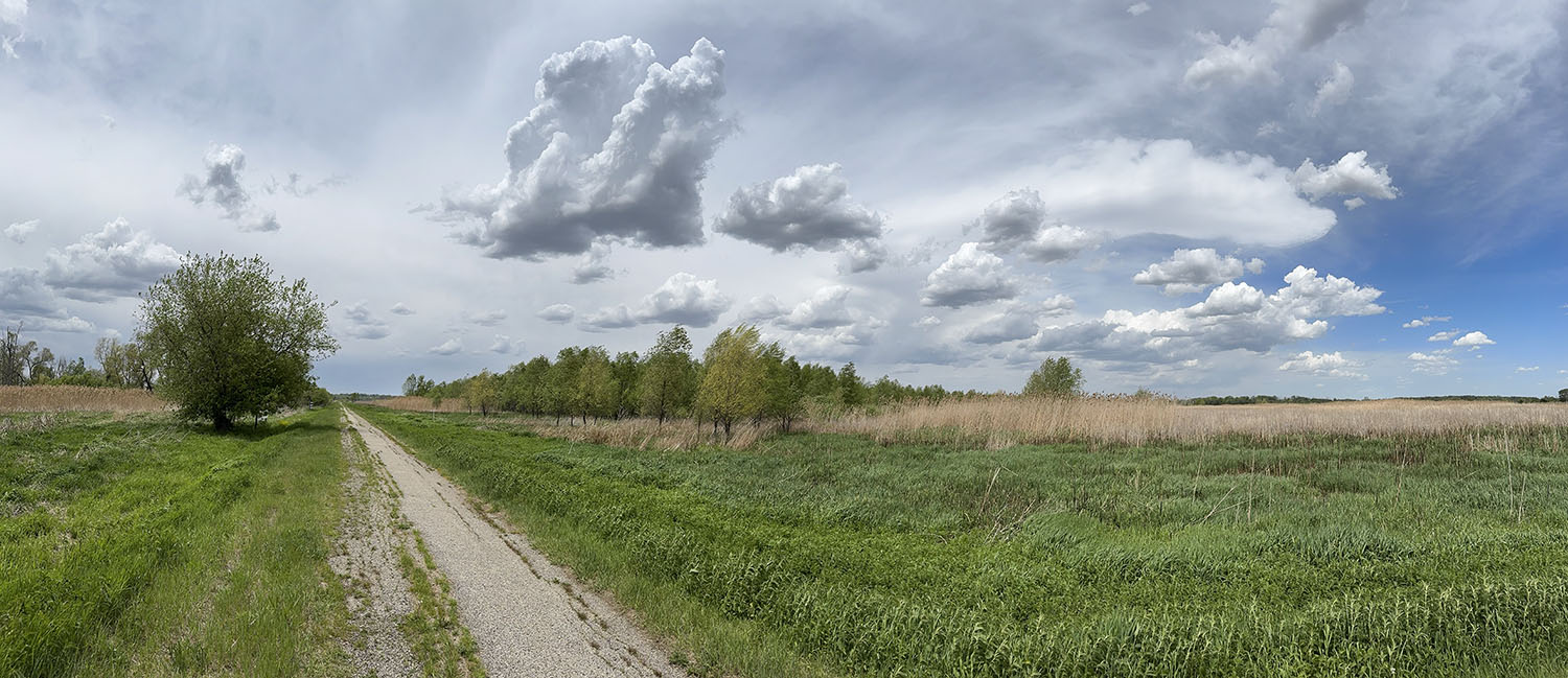 Panorama with approaching storm