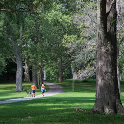 two people walking a dog in Kern Park