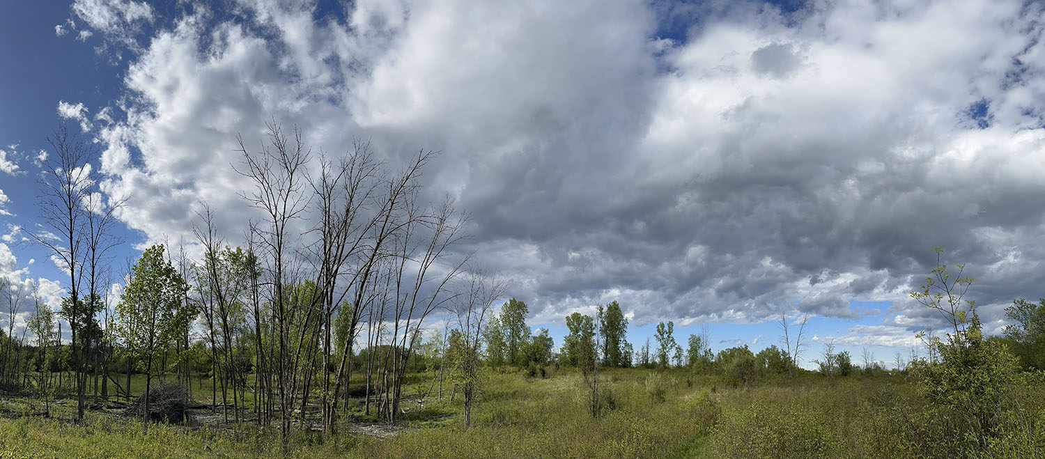 Panorama of a wetland and prairie