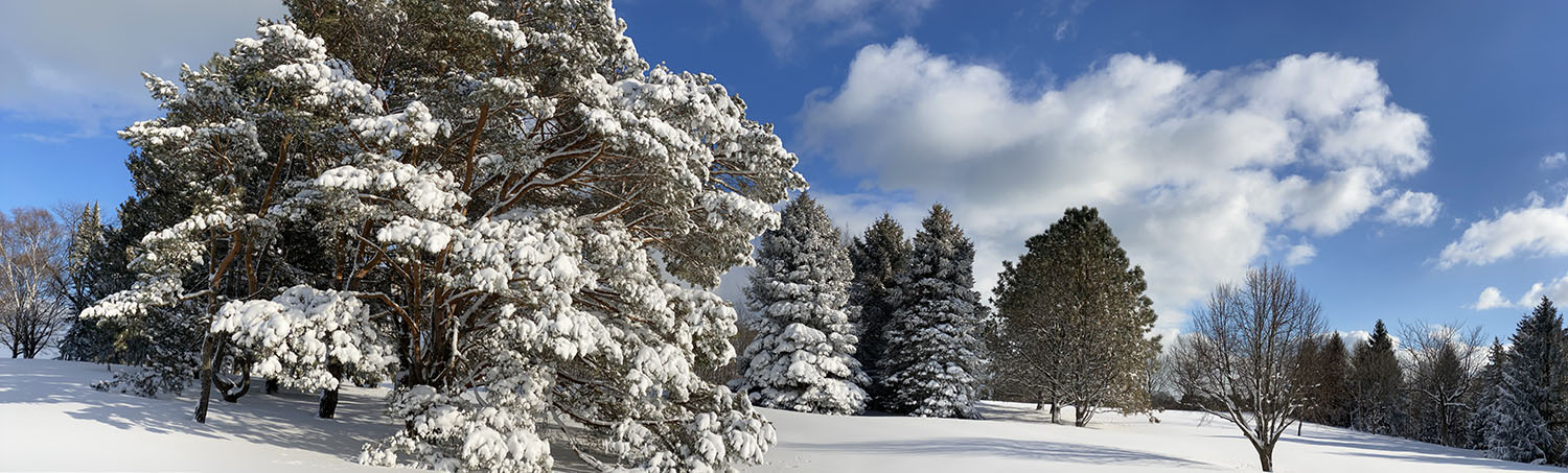 Warnimont Park in winter