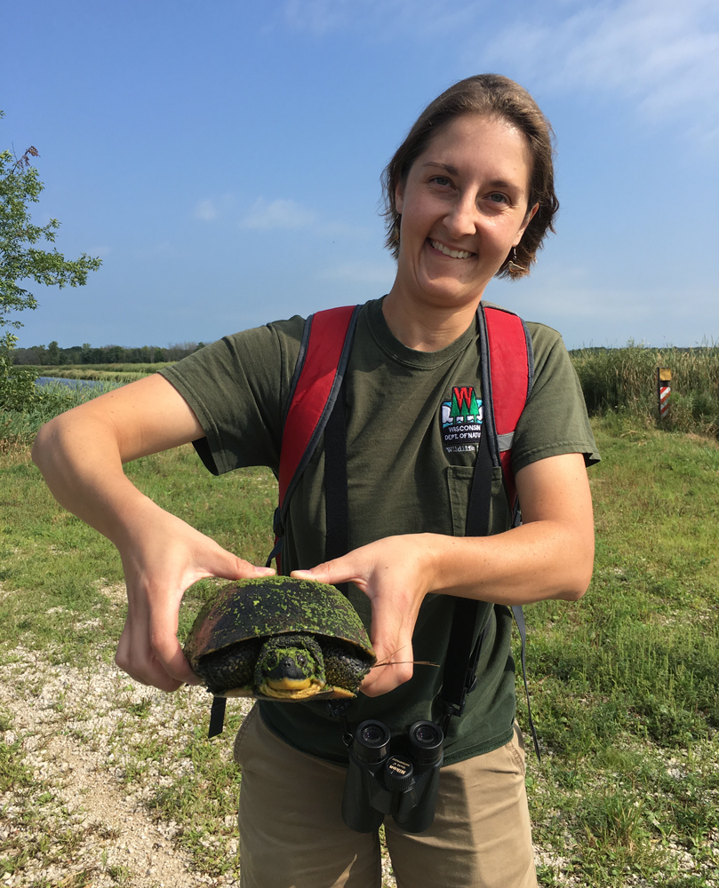 DNR wildlife biologist Diane Robinson with rare Blanding's turtle.