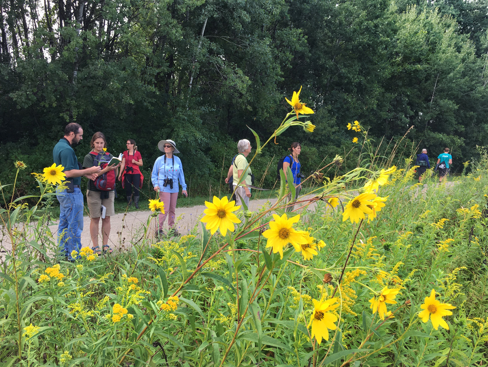 Tour group overlooking prairie.