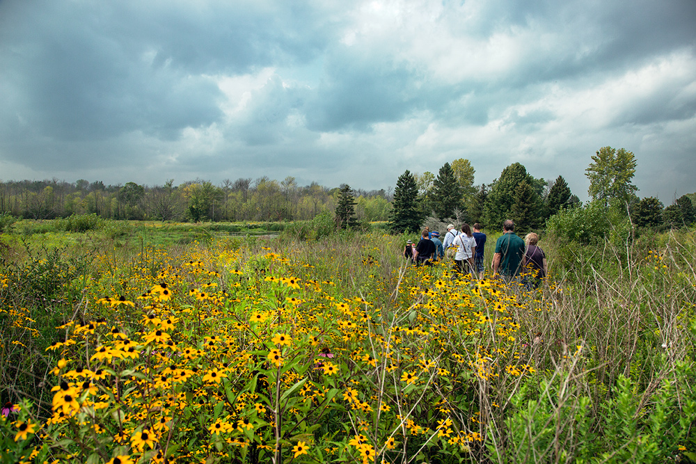 Touring the prairie.