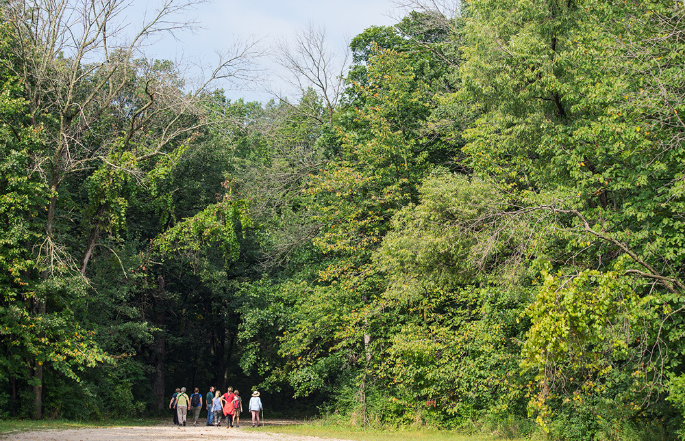 The group heading into the woods.