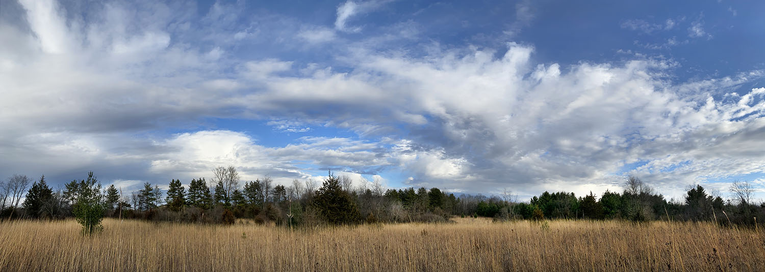 meadow and sky panorama