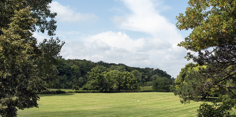 View of Sanctuary Woods from Pauper's Cemetery.