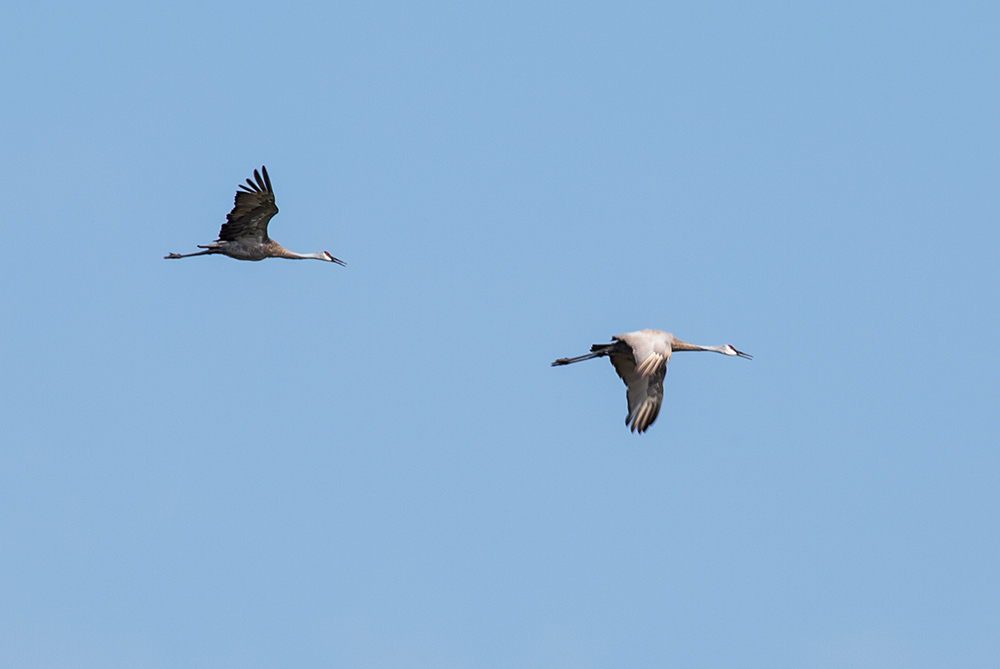 Touring Vernon Wildlife Area | A Wealth of Nature A Wealth of Nature