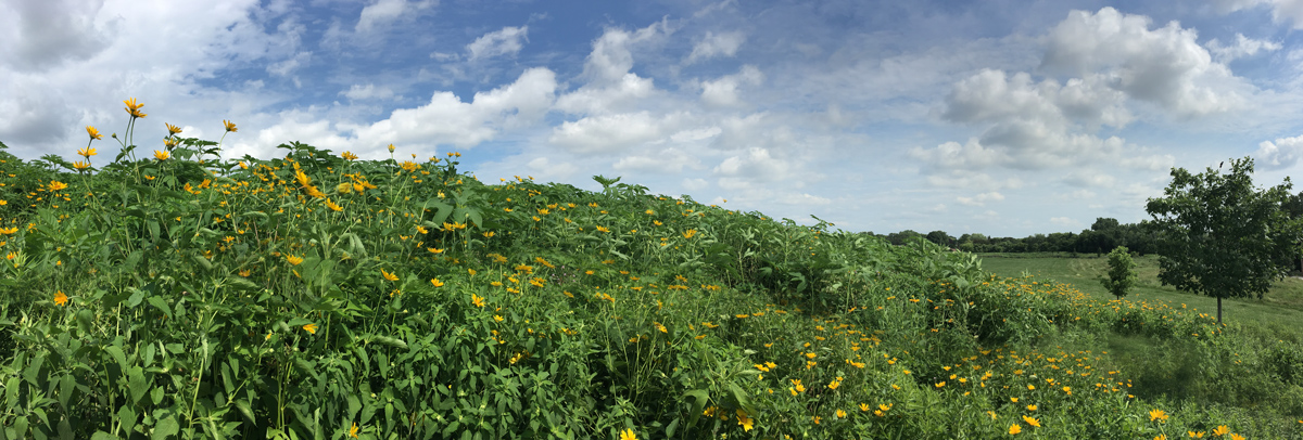 Hartung Park, Milwaukee and Wauwatosa.