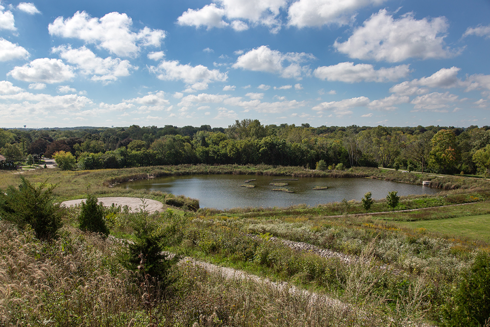 The pond viewed from the hilltop.