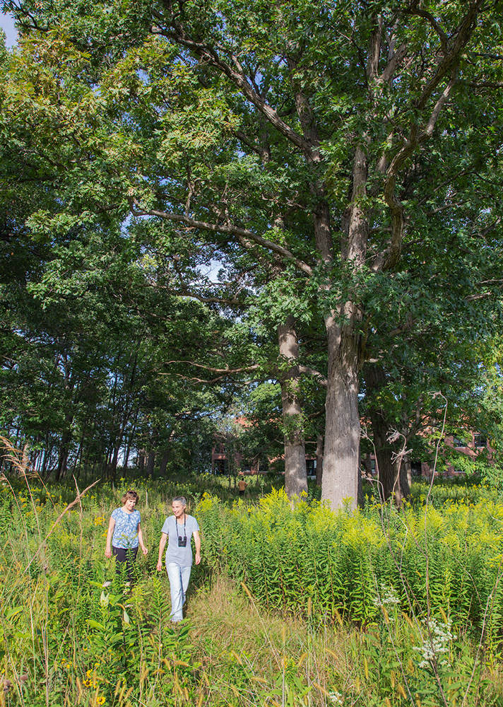 "Butterfly Barb" Agnew and Lynn Kapitan on trail