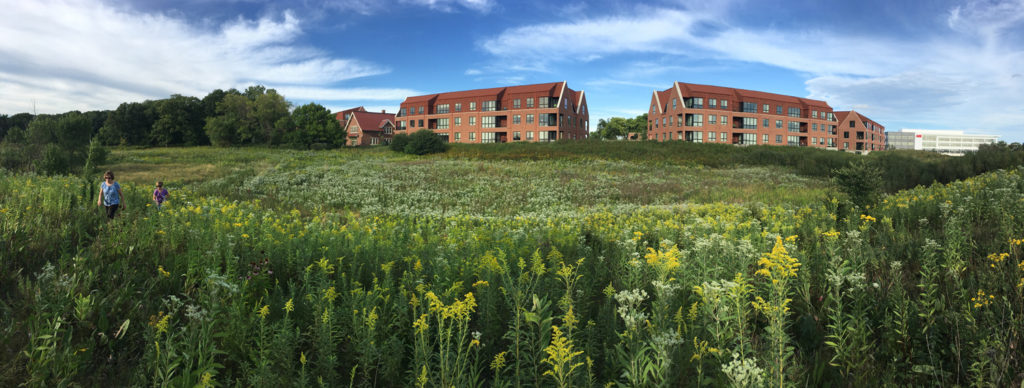 The Monarch Trail and Echelon Apartments