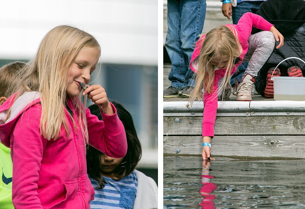 kissing sturgeon and releasing it