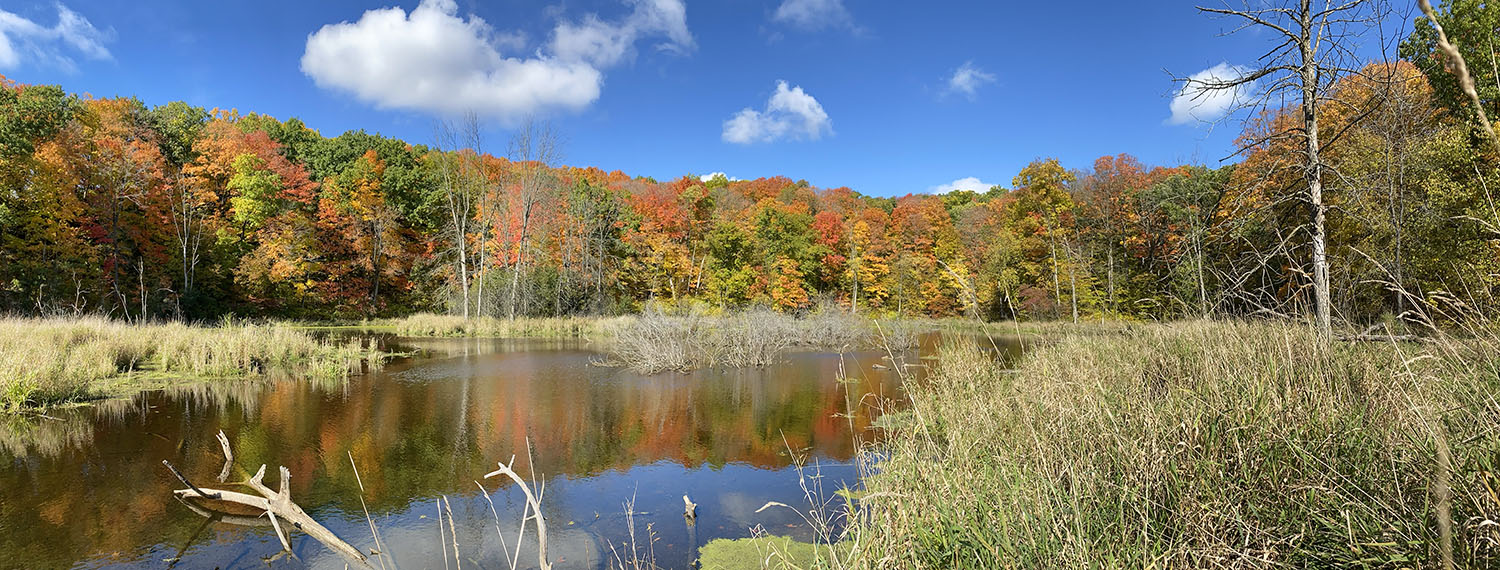 Kettle pond in autumn