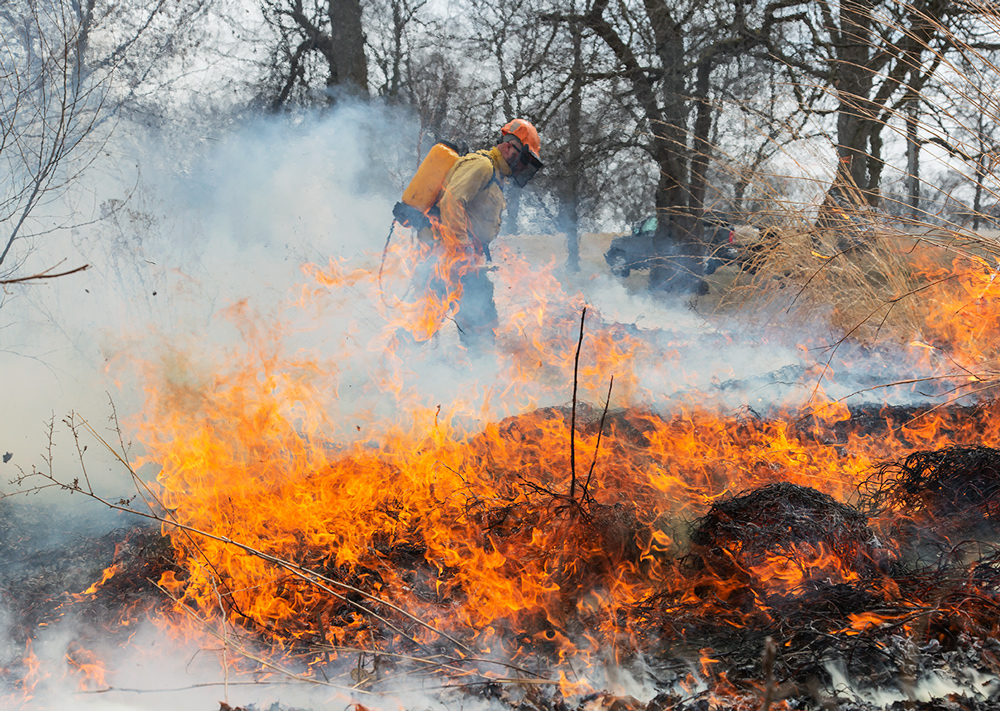 Controlled burn at Washington Park, Milwaukee, Milwaukee County Parks