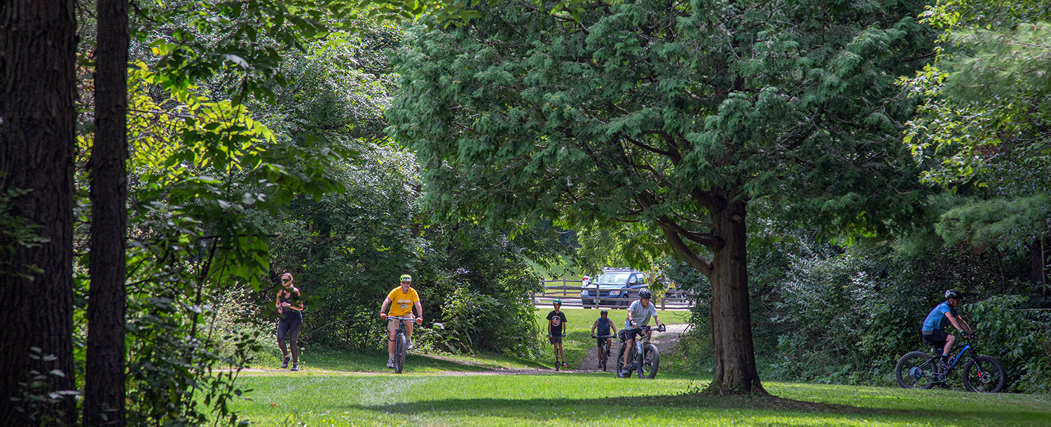 several mountain bikers and a jogger spread out across a field surrounded by woodlands