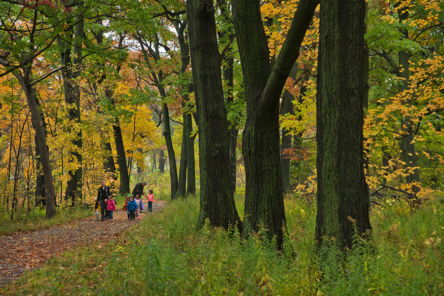 Riverside Park, designed by Frederick Law Olmsted