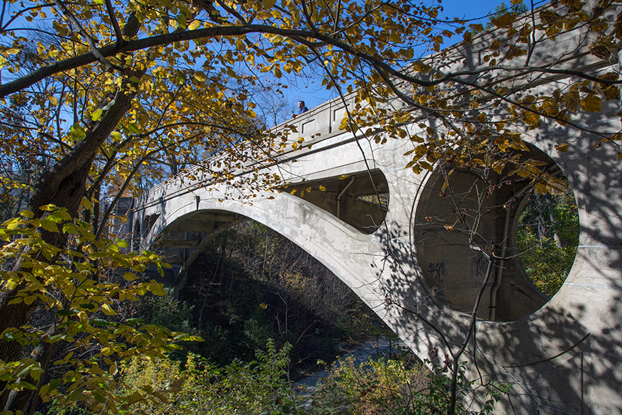 Ravine Bridge, Lake Park, designed by Frederick Law Olmsted