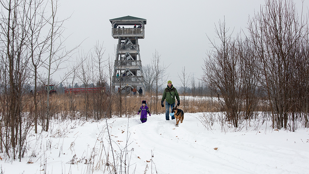 The observation tower and hikers