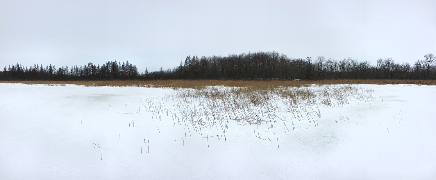 Beck Lake panorama in winter