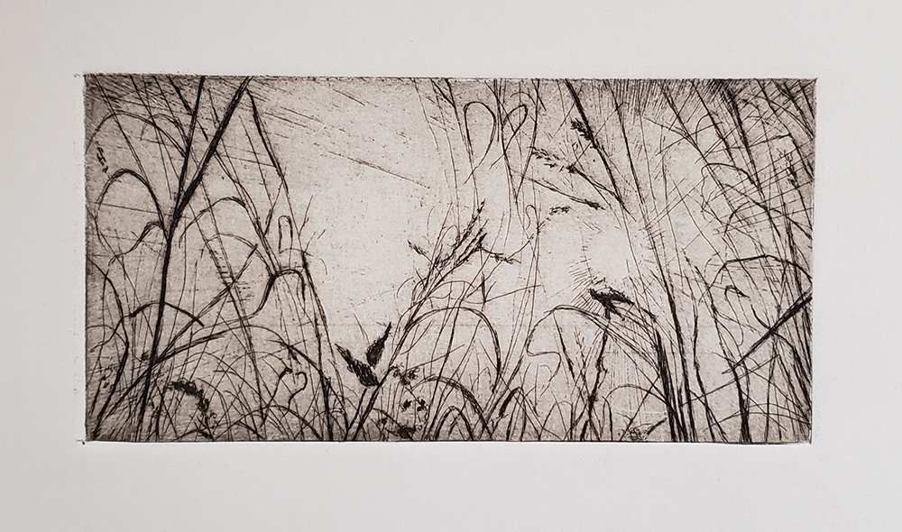 Fellenz Grasses with Sun. Etching.