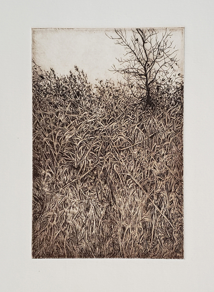 Fellenz Hill 2018. Etching.