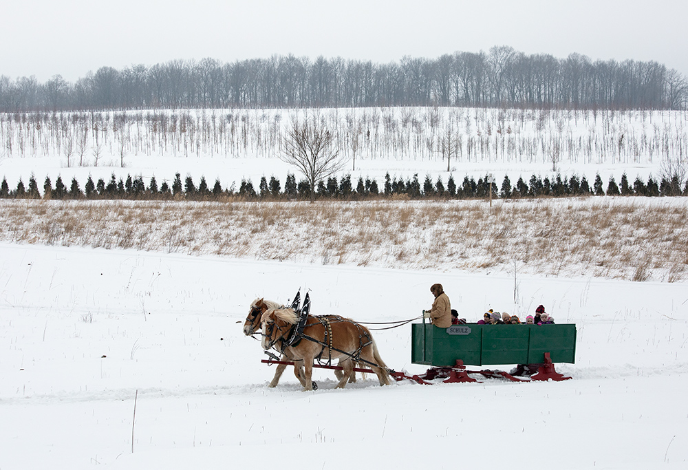 Sleigh ride and landscape