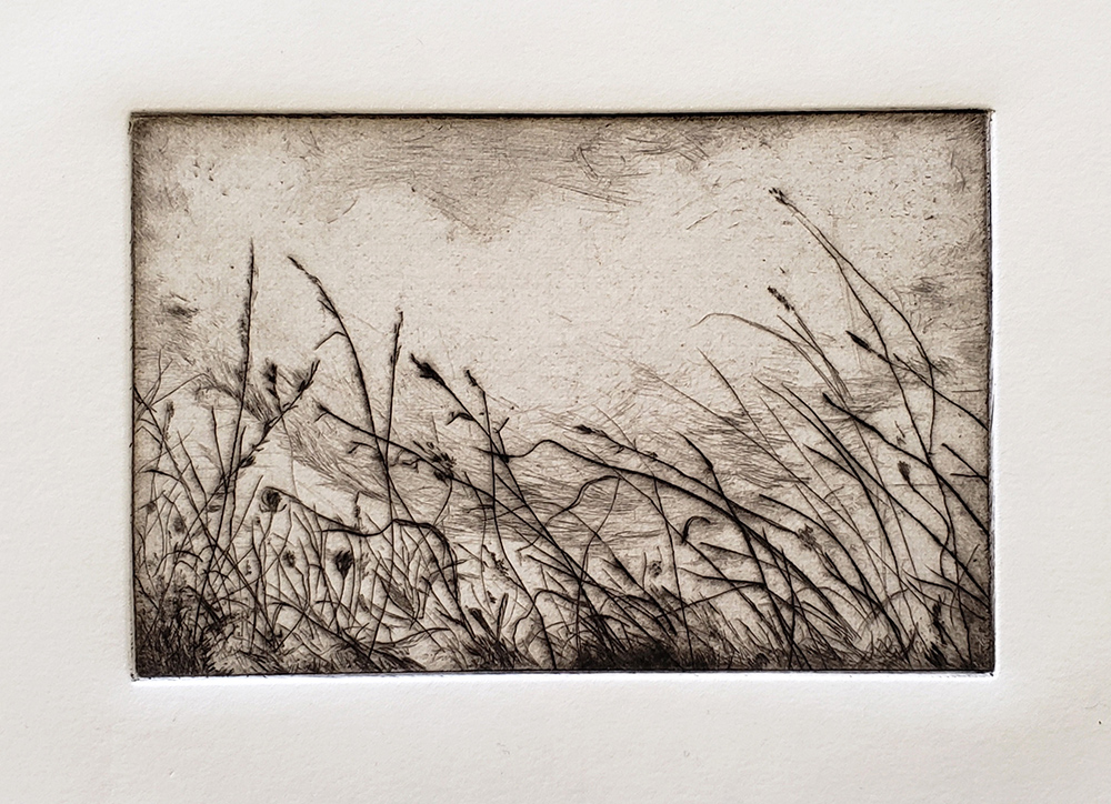 Fellenz Grasses with Cloud. Drypoint.