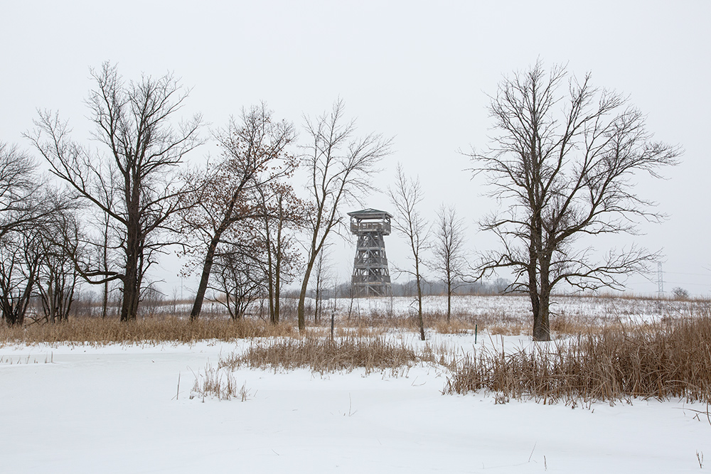 Tower from frozen wetland pond