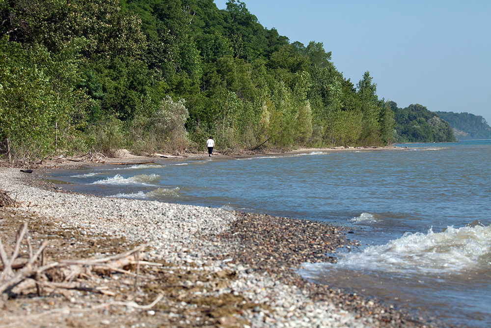 Lake Michigan bluffs at Doctors Park, Fox Point