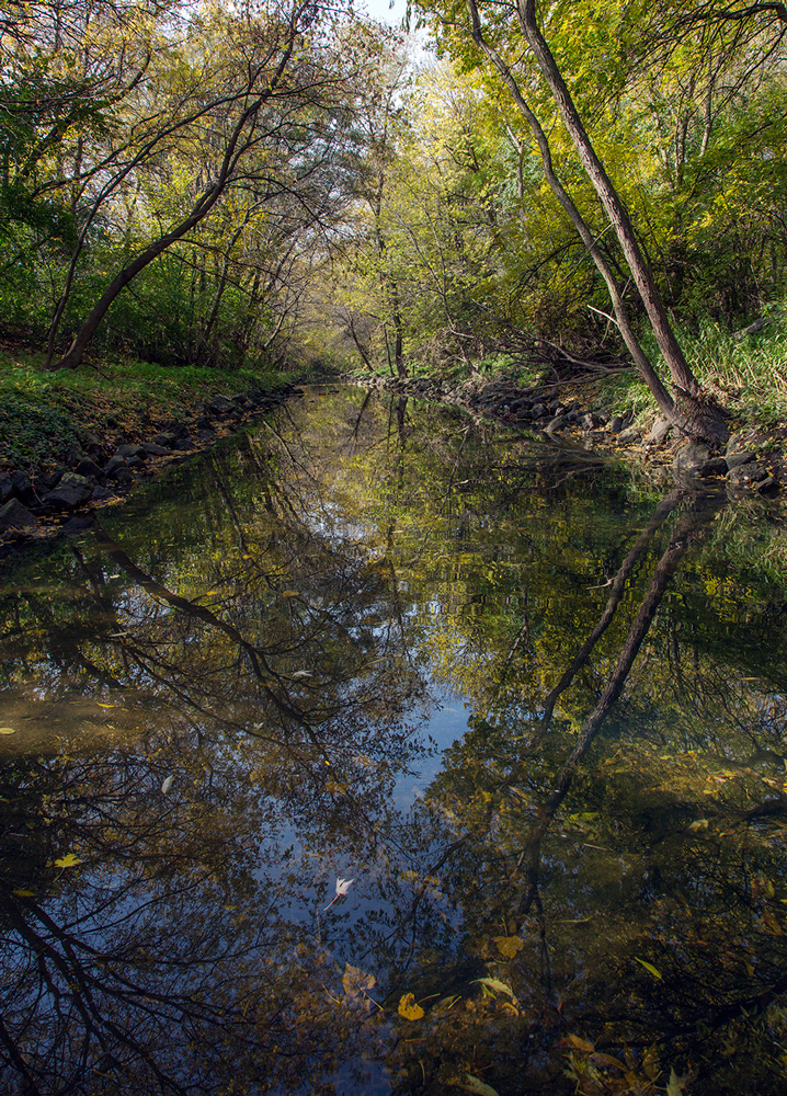 Wilson Creek, Wilson Park, Milwaukee