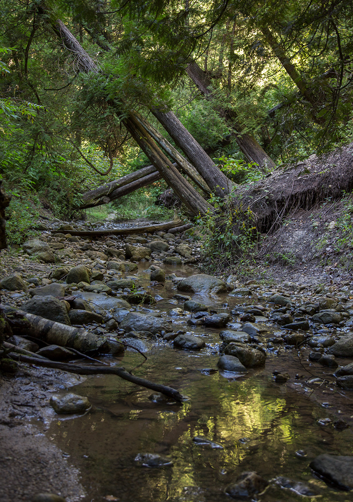 Lion's Den Gorge Nature Preserve, Grafton