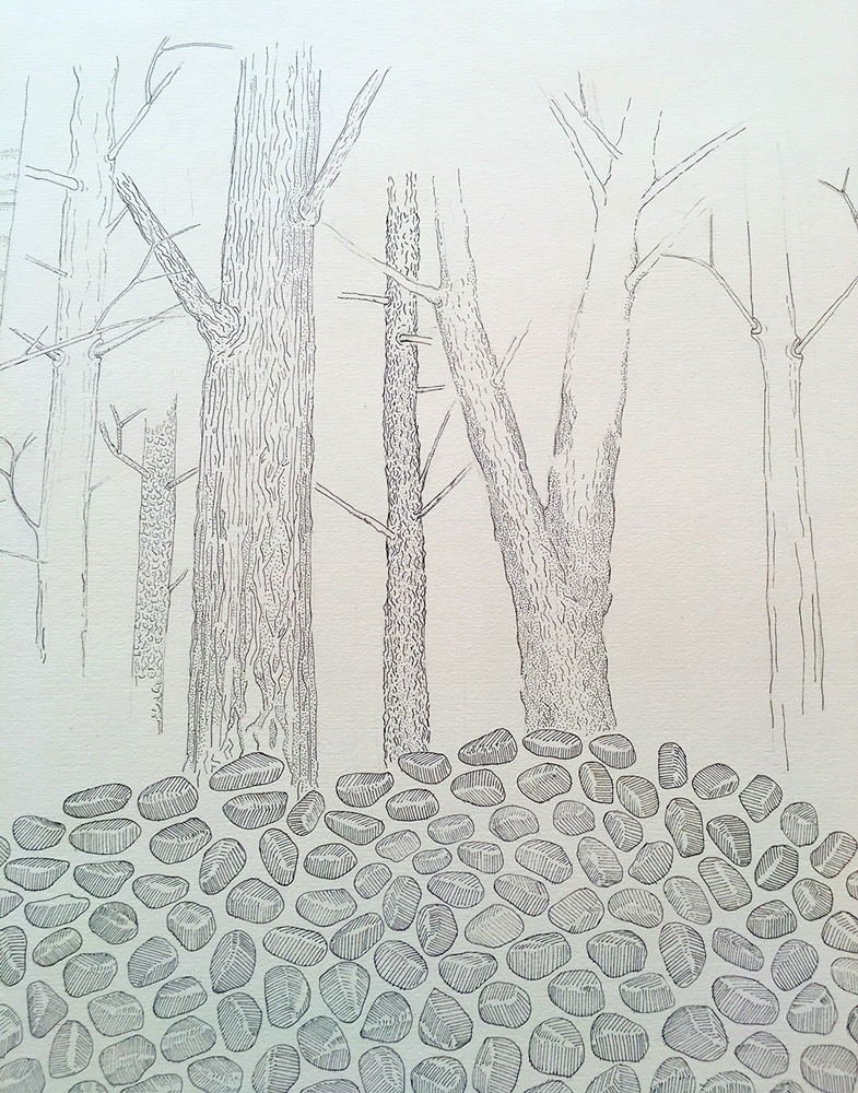 Pen and ink drawing (detail) in progess, of trees and rocks