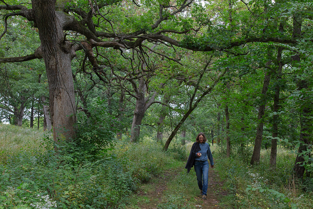 hiker in the woodland