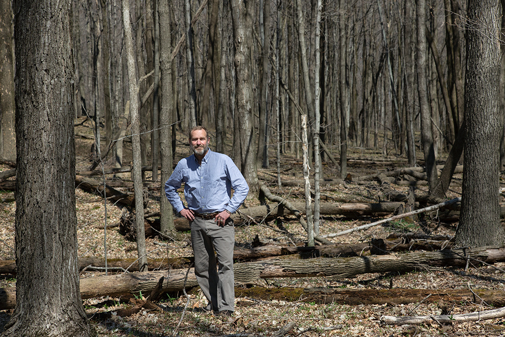 The artist and the woods in early spring