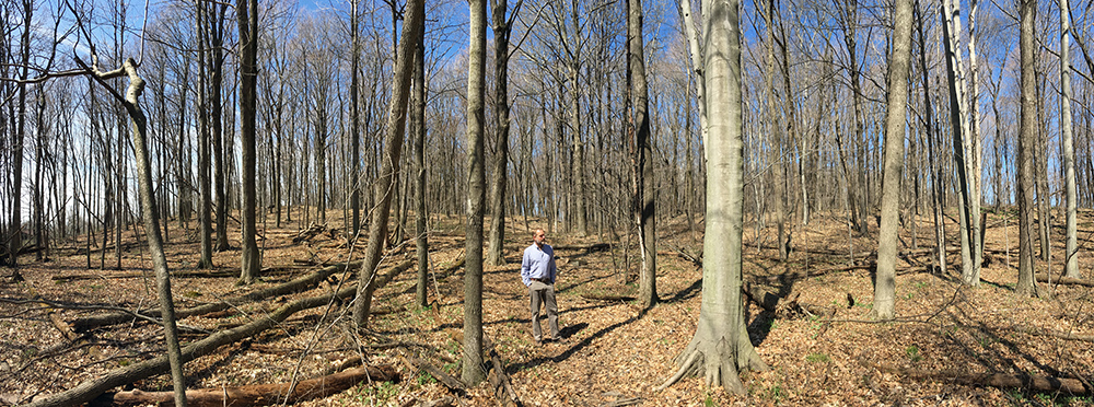 The artist in Kurtz Woods panorama