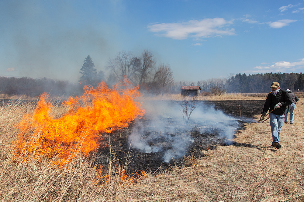 Volunteers monitoring the burn